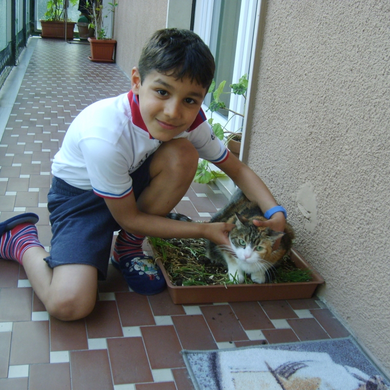 MATTEO